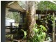 721 McKinnon Dr, Cooroibah QLD 4565
