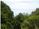 26 Attunga Hts, Noosa Heads QLD 4567