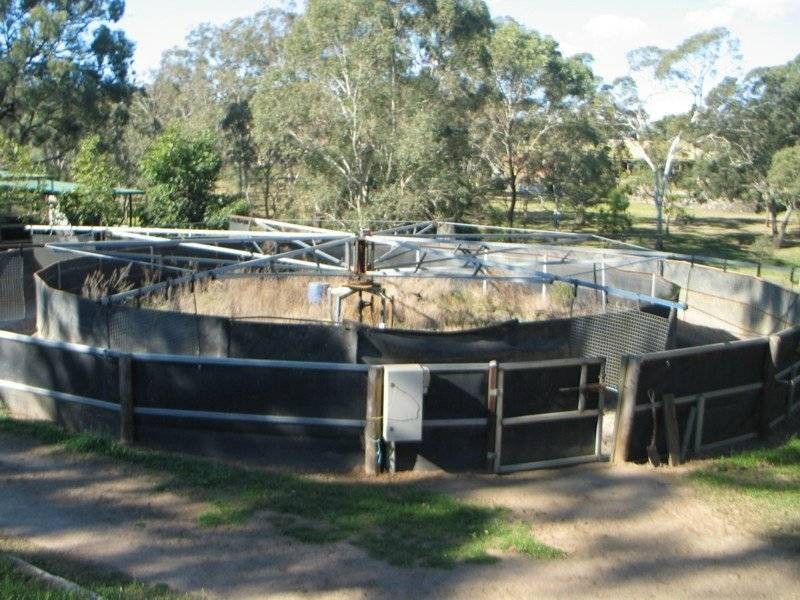 49 Cumners Road, Toowoomba QLD 4350