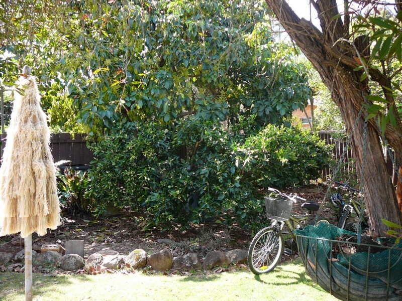 3 Stockwell Street, Rangeville QLD 4350