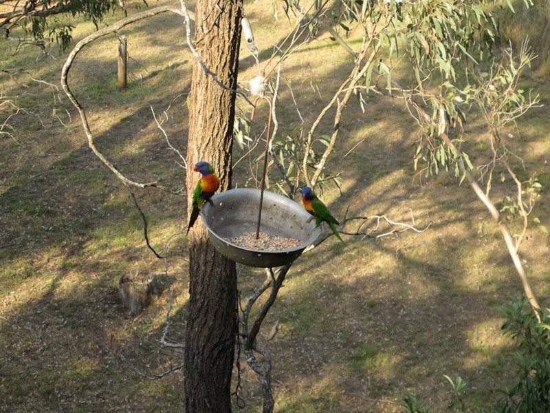 Toowoomba QLD 4350