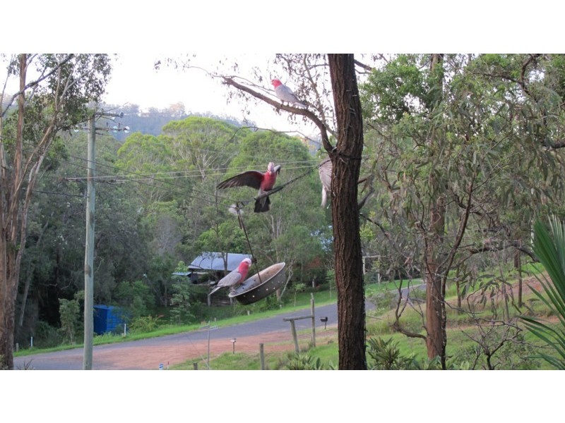 Toowoomba QLD 4350