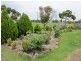 Kingsthorpe QLD 4400