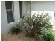 13 Rosella Street, Rangeville QLD 4350