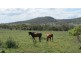 Drayton QLD 4350