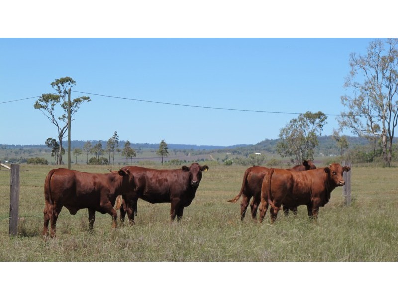 Cambooya QLD 4358