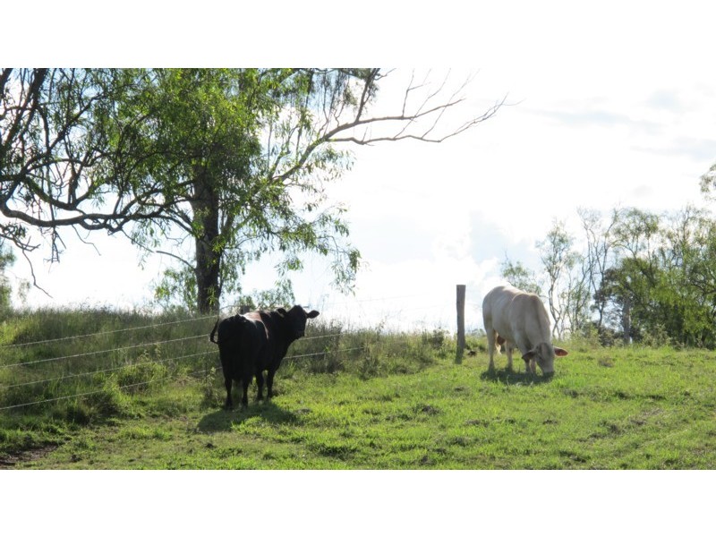 40 Carey Road, Blanchview QLD 4352