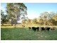 172 Robinson Road, Cabarlah QLD 4352