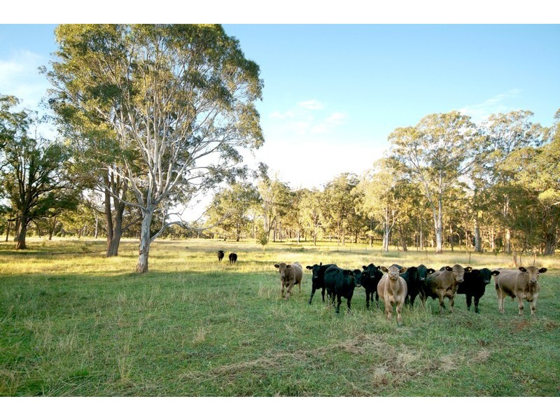 172 Robinson Road, Cabarlah QLD 4352