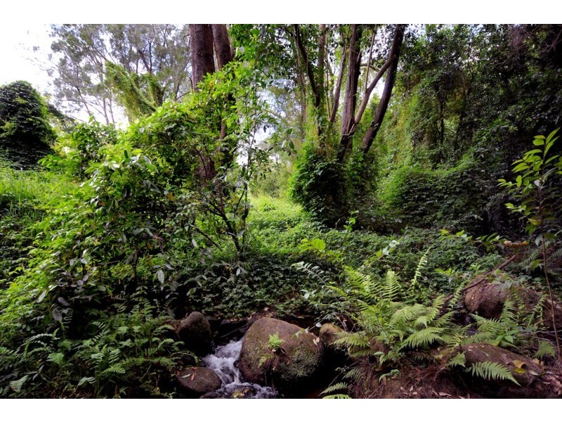 17 McCormack Drive, Highfields QLD 4352