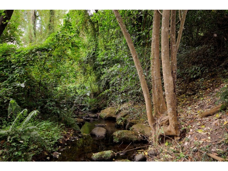 17 McCormack Drive, Highfields QLD 4352