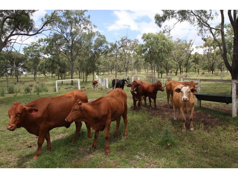 1026 Boundary Street, Drayton QLD 4350