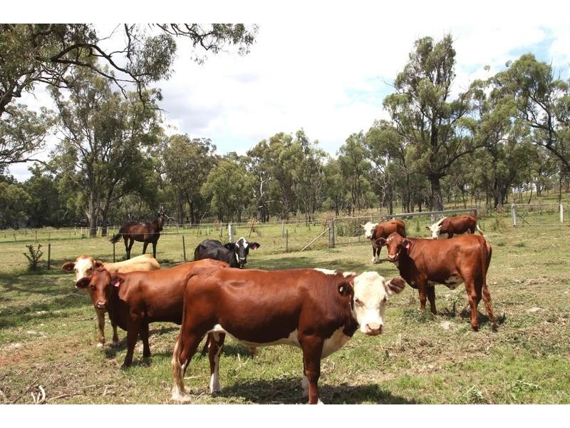 1026 Boundary Street, Drayton QLD 4350