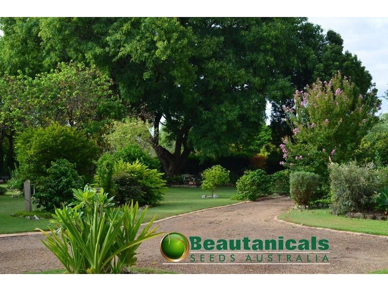 40 Railway Street, Helidon QLD 4344