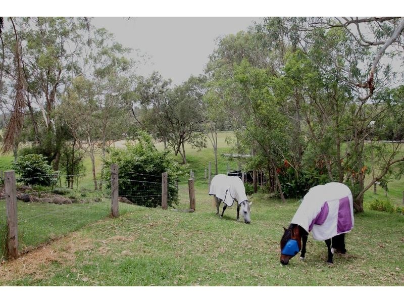 13 Bedwell Street, Cranley QLD 4350
