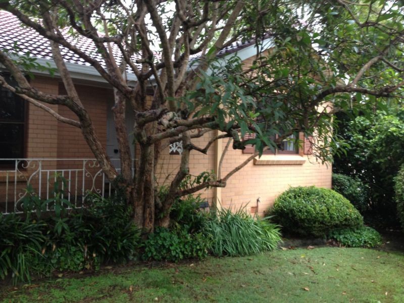 12 Tant Street, East Toowoomba QLD 4350