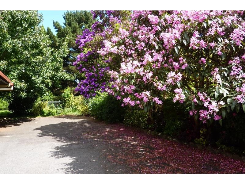 5/52 Campbell Street, East Toowoomba QLD 4350