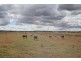 1598 Toowoomba Karara Road (L1 RP13829), Cambooya QLD 4358