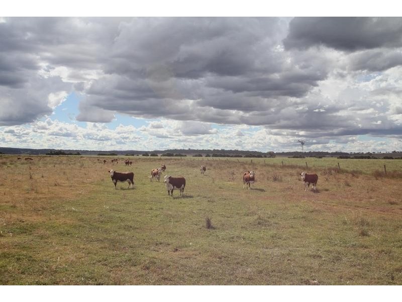 1598 Toowoomba Karara Road (L1 RP13829), Cambooya QLD 4358