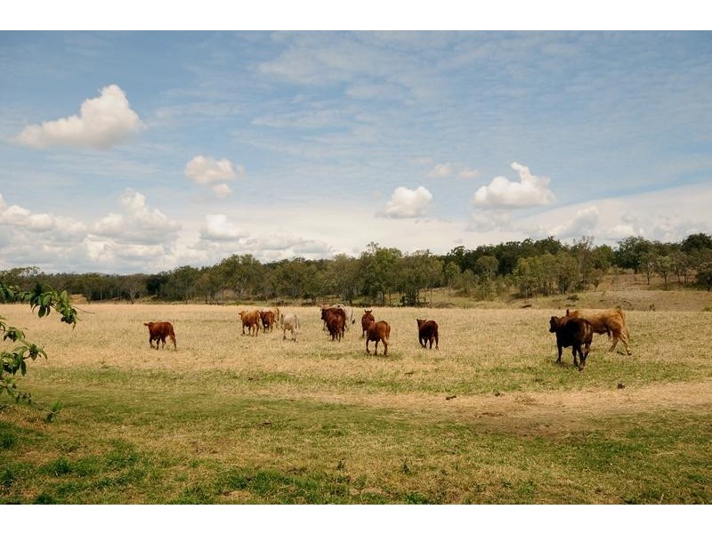 124 Lockyer Creek Road, Helidon QLD 4344