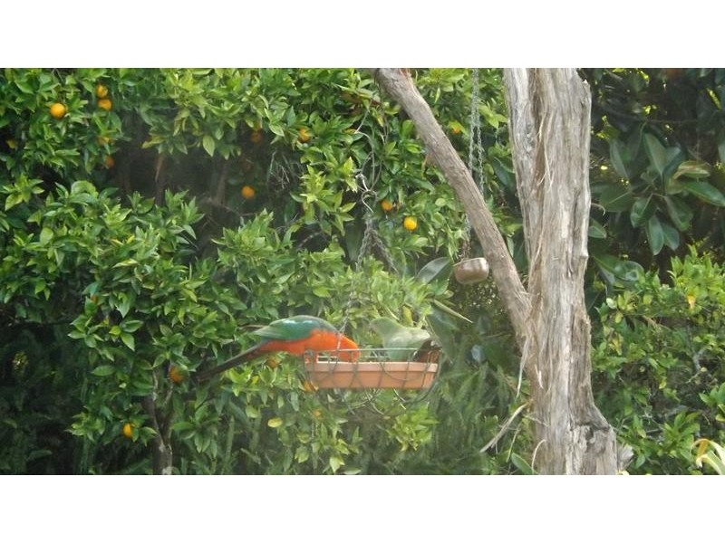 23 Blue Hills Drive, Rangeville QLD 4350