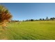 21 Teesdale Avenue, Newtown QLD 4350