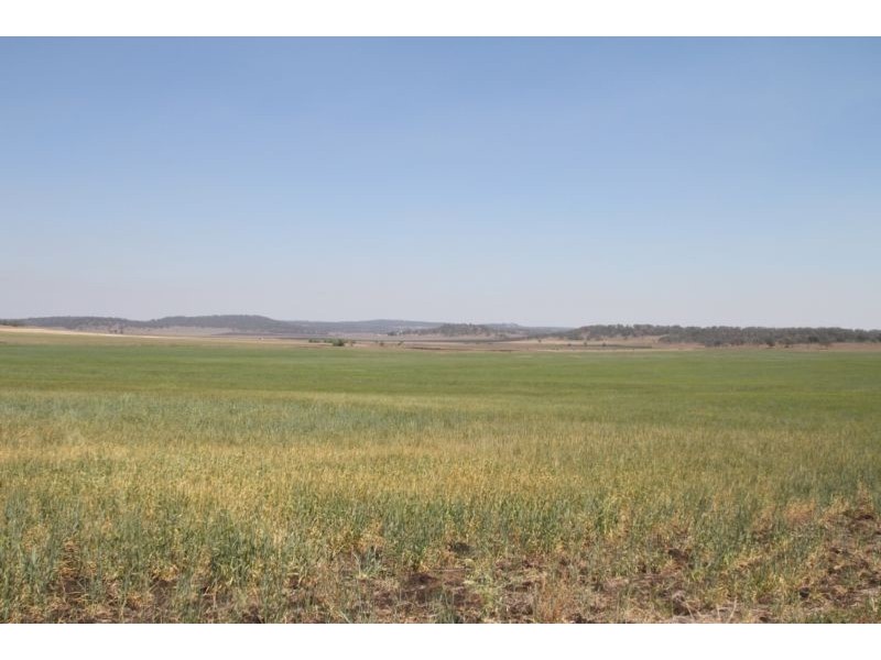 127 Greenup Road, Cambooya QLD 4358