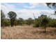 Lot 845, Boundary Street, Drayton QLD 4350