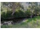 56 Wrembreck Road, Birnam QLD 4352