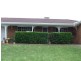 38 Jacaranda Drive, Moree NSW 2400