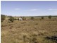 Lot 44,  Kellys Gully Rd, Warialda NSW 2402