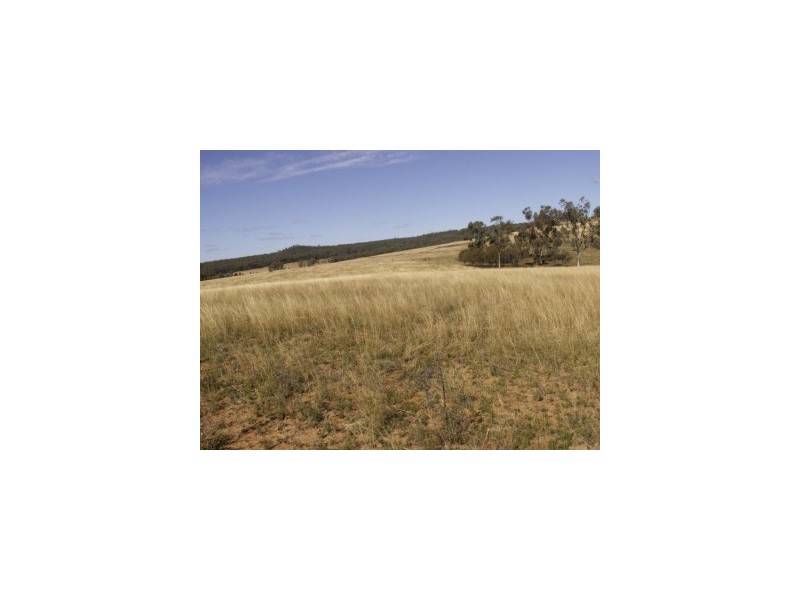 Lot 44,  Kellys Gully Rd, Warialda NSW 2402