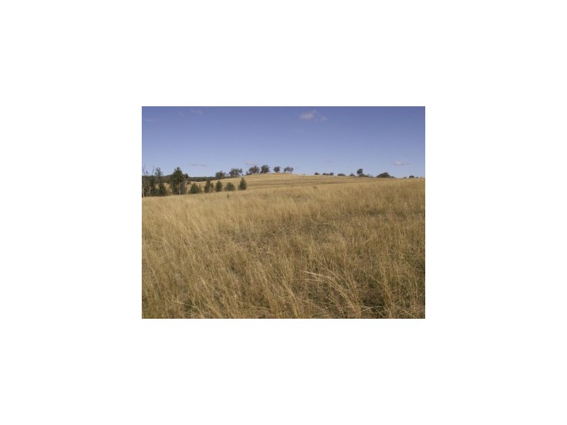Lot 44,  Kellys Gully Rd, Warialda NSW 2402