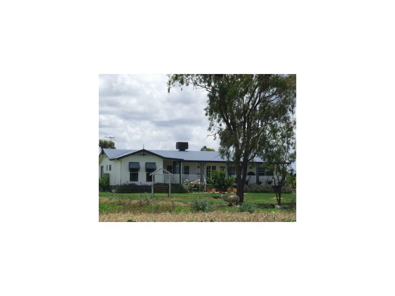 Tarrawingee Road, Moree NSW 2400