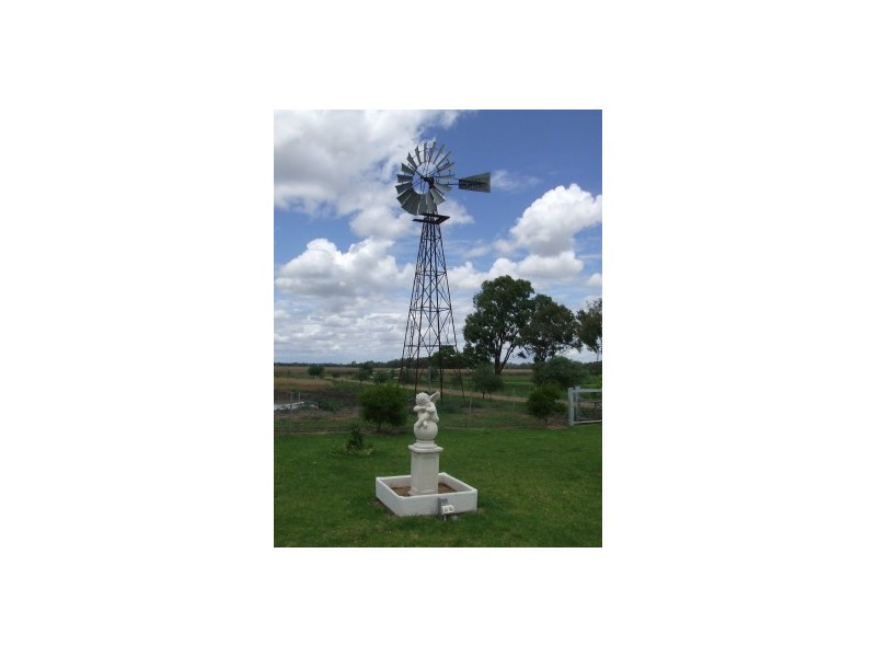 Tarrawingee Road, Moree NSW 2400