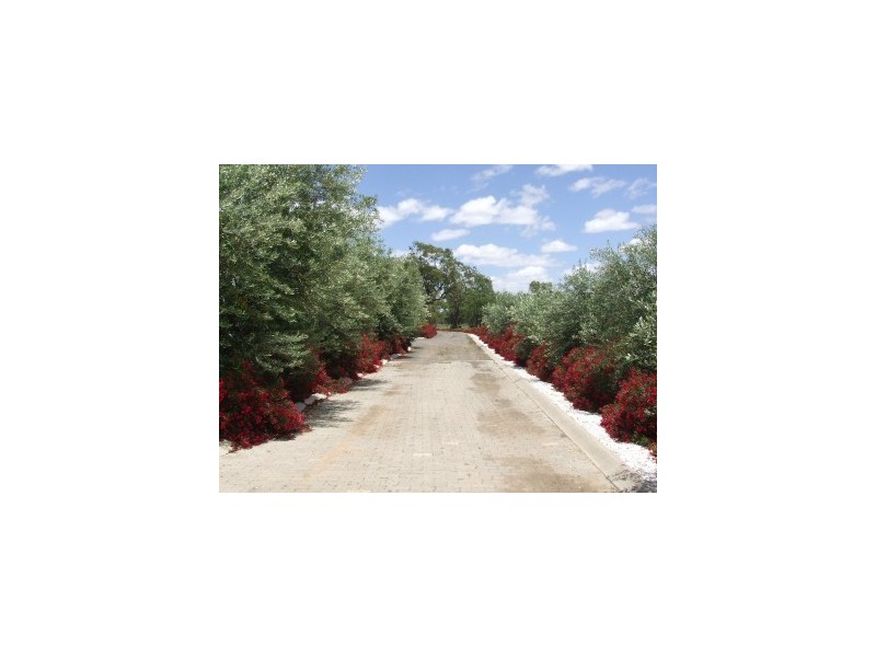 Boobialla Road, Moree NSW 2400