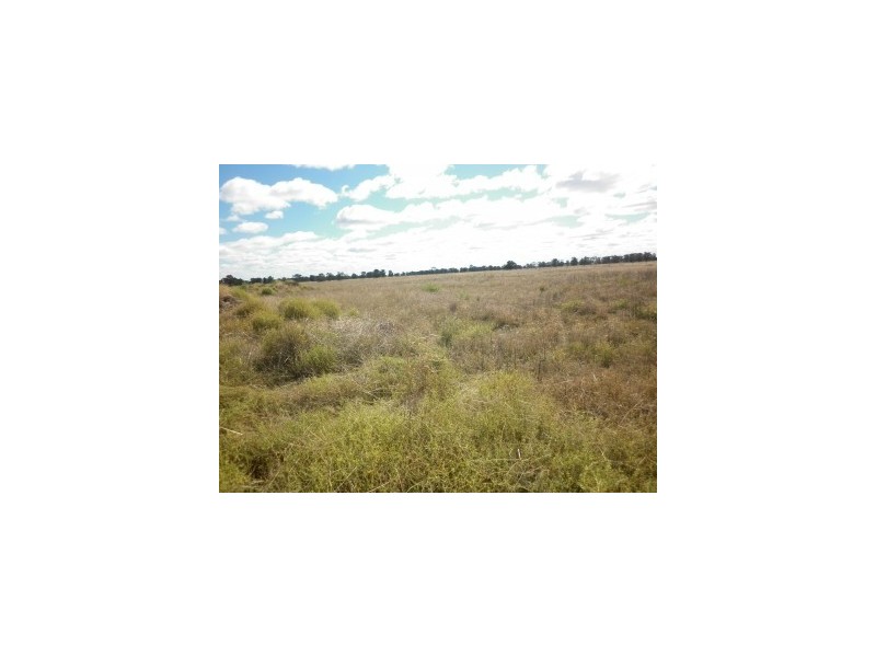 Lot 4,  Glen Park Road, Moree NSW 2400