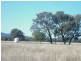 Terry Hie Hie, Bingara Road, Terry Hie Hie NSW 2400