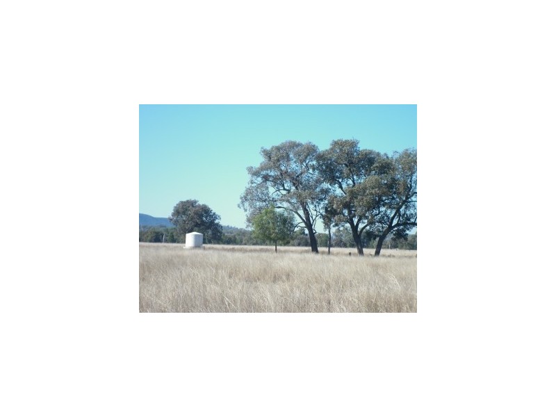 Terry Hie Hie, Bingara Road, Terry Hie Hie NSW 2400