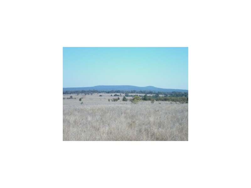 Terry Hie Hie, Bingara Road, Terry Hie Hie NSW 2400