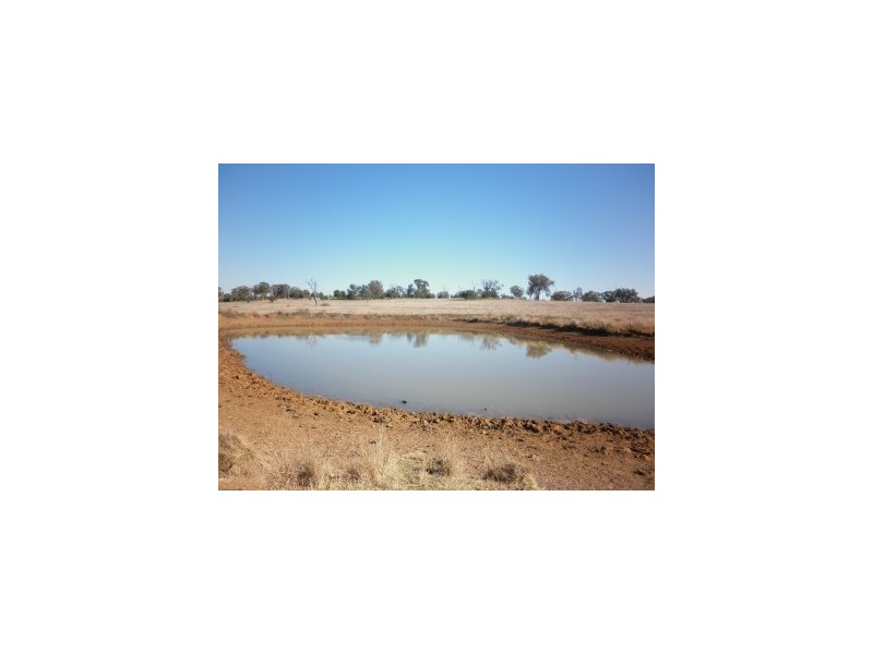 Terry Hie Hie, Bingara Road, Terry Hie Hie NSW 2400
