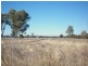Terry Hie Hie, Bingara Road, Terry Hie Hie NSW 2400