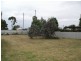 38 Oak, Moree NSW 2400