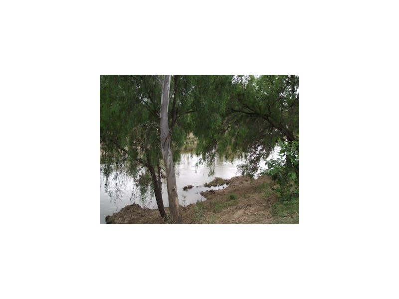 Lot 33, 63 River Street, Moree NSW 2400