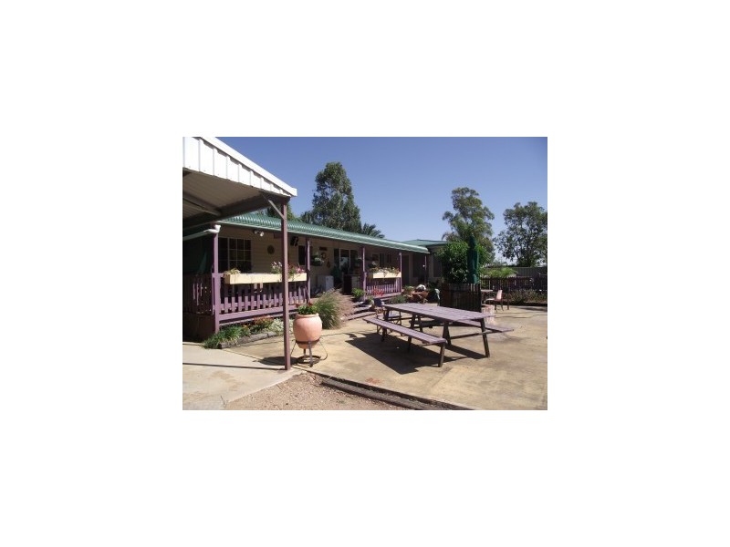 36 Locke Street, Ashley NSW 2400