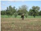 217 Gwydirfield Road, Moree NSW 2400
