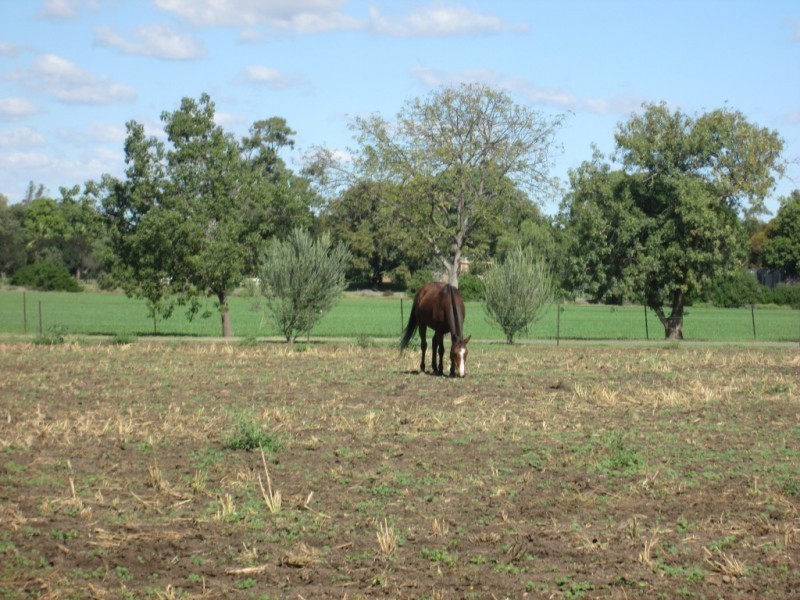 217 Gwydirfield Road, Moree NSW 2400