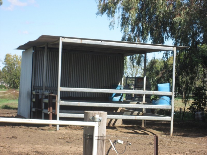 217 Gwydirfield Road, Moree NSW 2400