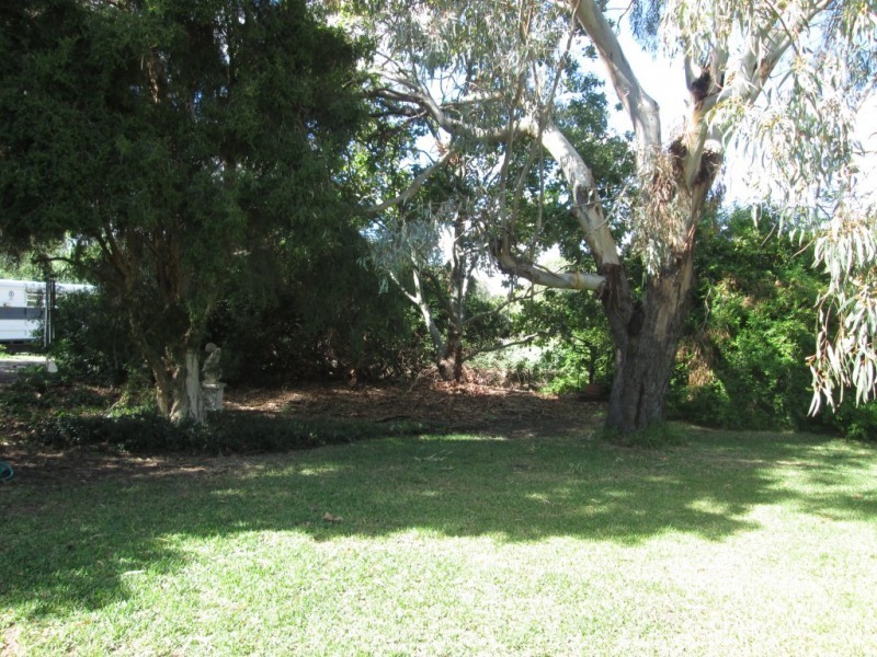 217 Gwydirfield Road, Moree NSW 2400