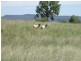 1 Gineroi Road, Warialda NSW 2402